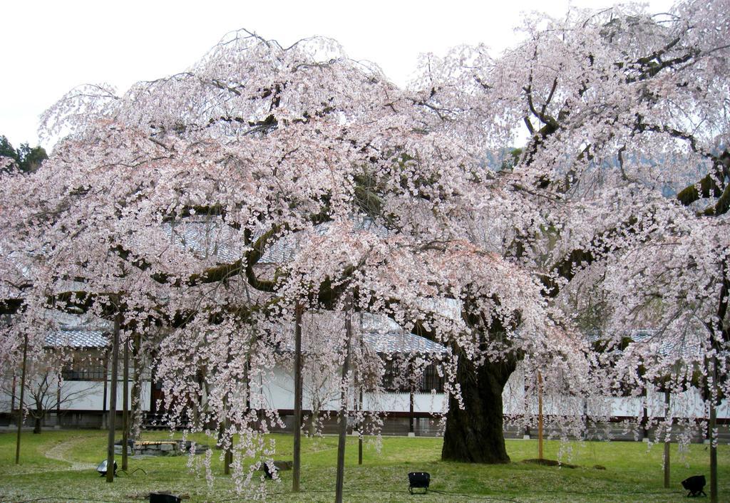 Hotel M'S Plus Shijo Omiya Киото Екстериор снимка